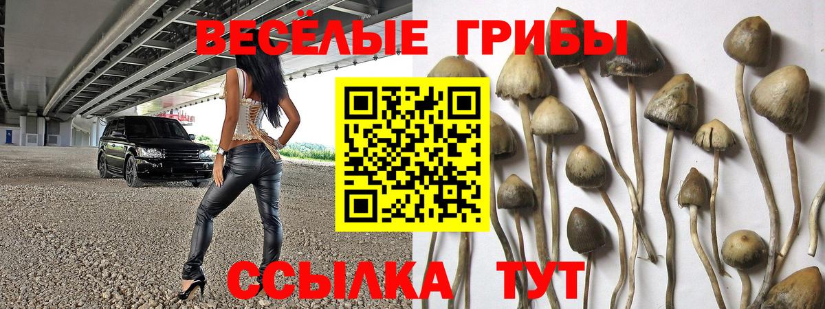 Галлюциногенные грибы Cubensis Десногорск