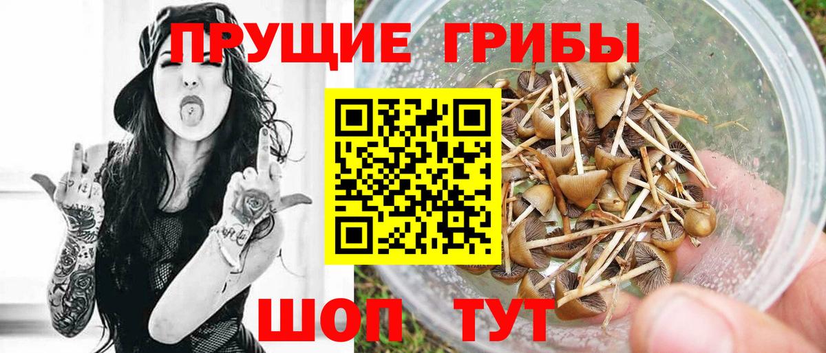 Галлюциногенные грибы мицелий  Галлюциногенные грибы ЛСД  Десногорск  Вход с VPN 